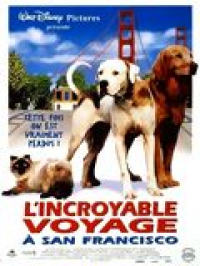 L'Incroyable Voyage à San Francisco streaming