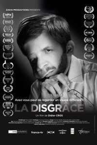 La Disgrâce streaming