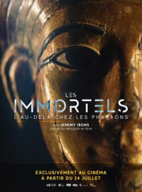 Les Immortels : L'Au-Delà chez les Pharaons (Uomini e Dei le meraviglie del Museo Egizio) streaming