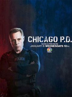 voir Chicago Police Department saison 10 épisode 19