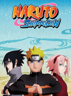 Naruto Shippuden saison 2 épisode 8