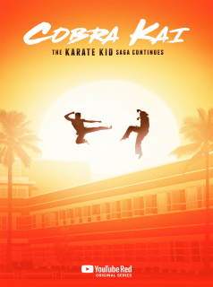 voir Cobra Kai Saison 2 en streaming 