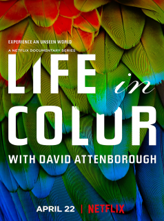 voir La Vie en couleurs avec David Attenborough Saison 1 en streaming 