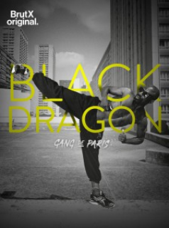 Gang de Paris : Black Dragon streaming