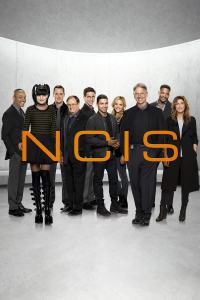 voir NCIS : Enquêtes spéciales saison 9 épisode 2