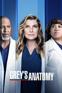 voir Grey's Anatomy saison 11 épisode 7