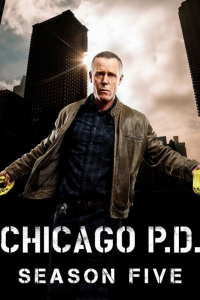 voir Chicago Police Department saison 5 épisode 15