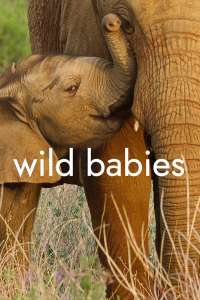 Wild Babies : Petits et Sauvages saison 1 épisode 2