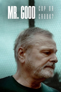 voir Mr. Good : Flic ou baron ? saison 1 épisode 1